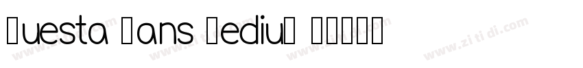 Questa Sans Medium R字体转换